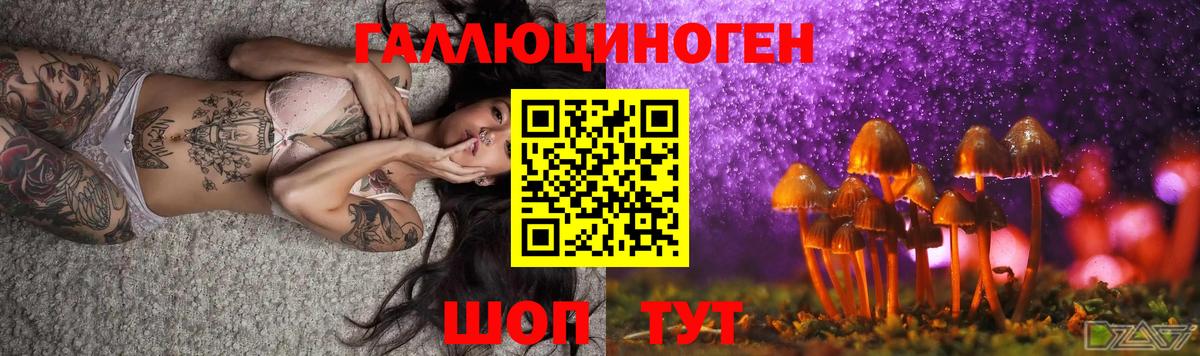 Владимир  Галлюциногенные грибы Psilocybe  Псилоцибиновые грибы прущие грибы  Вход с VPN 