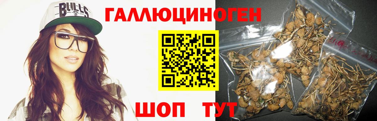 Галлюциногенные грибы прущие грибы Владимир